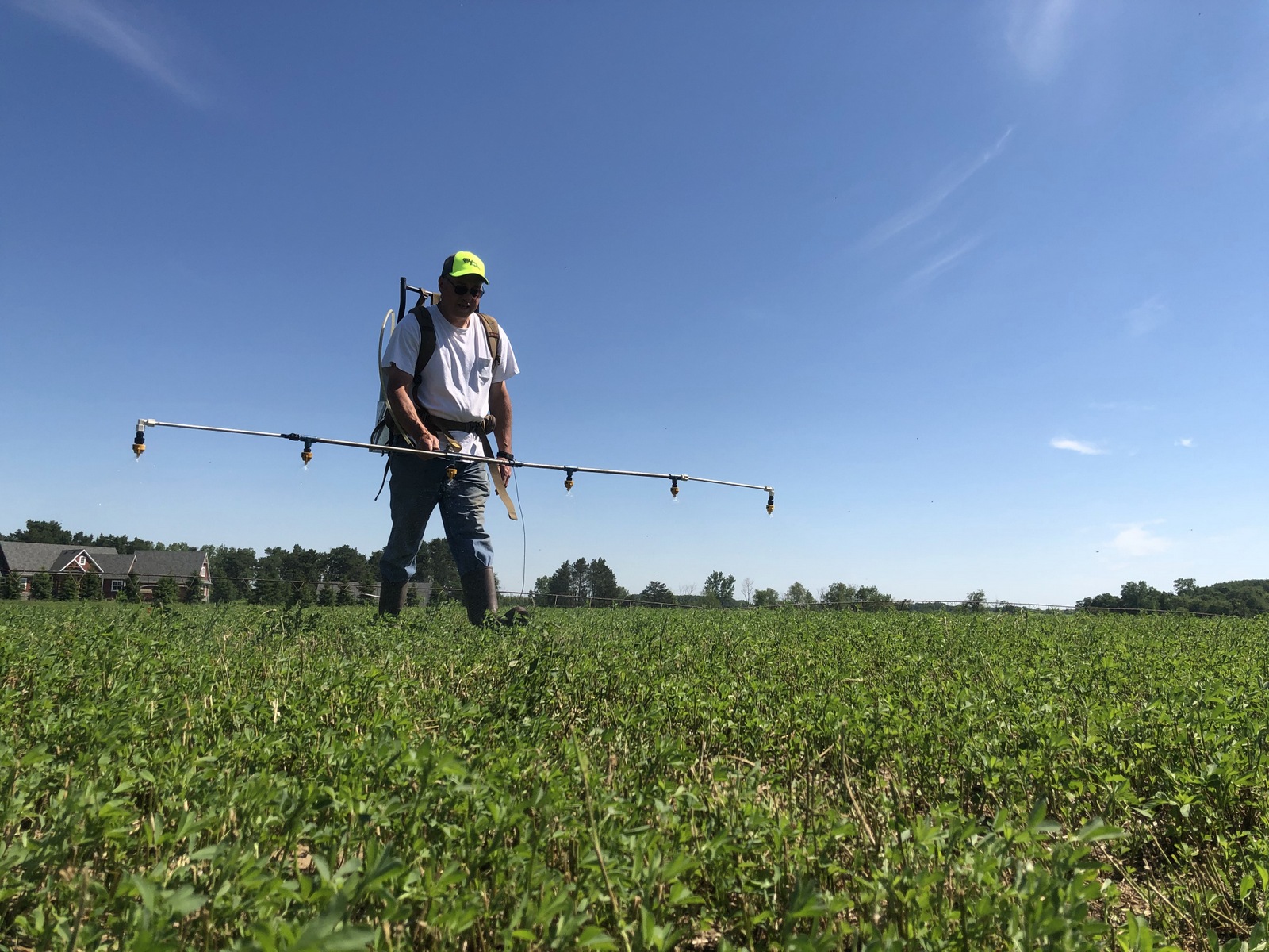 Small-plot research on alfalfa with backpack sprayer.  The wire on the boom maintains proper height.