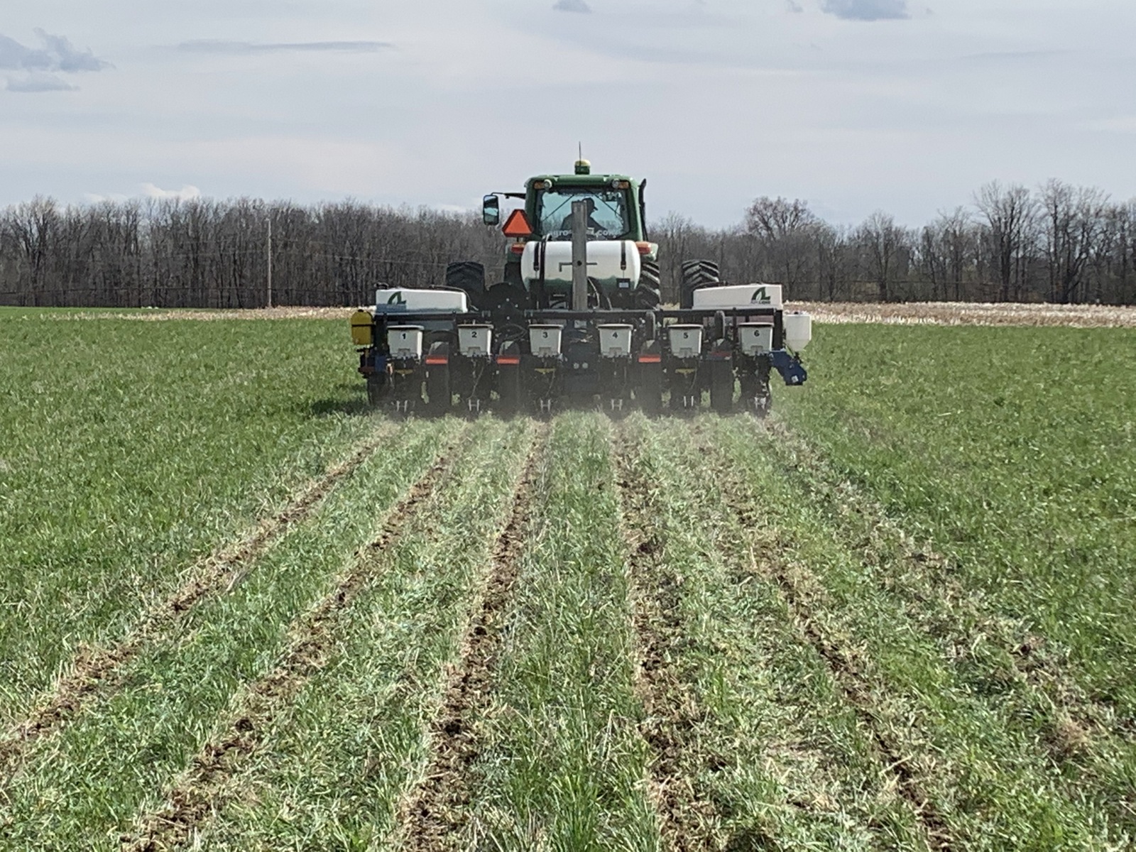 Planting into green cover crop.